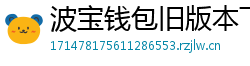 波宝钱包旧版本下载